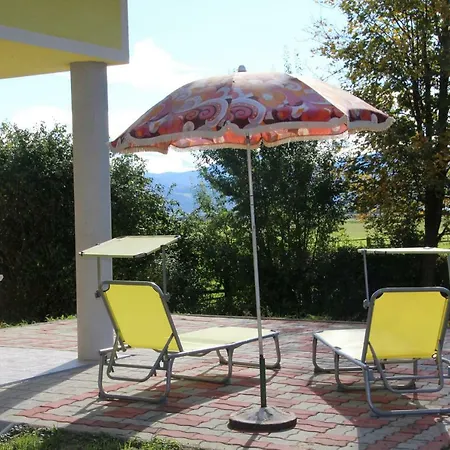 Narrenhaus * Fohnsdorf