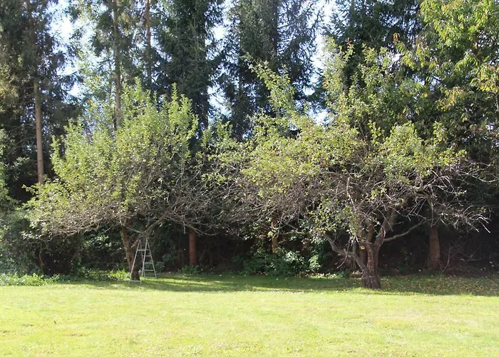 Narrenhaus Hébergement de vacances Fohnsdorf